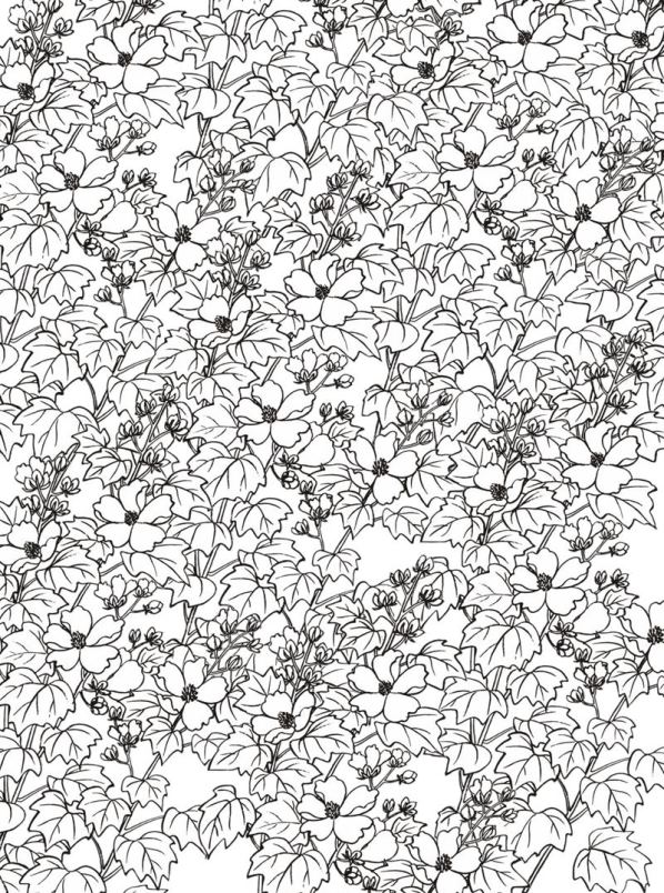 Plansa de colorat cu Flori 23 16